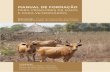 MANUAL DE FORMAÇÃO - imvf.org · do projeto aos para-veterinários, aos criadores de gado e aos associados da gaare Batoden. o manual começa por definir as competências e o papel