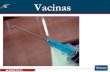 Vacinas - Virbac - Extranetvirbacnet.com.br/files/anexos/f_0000780.pdf · Conservação de Vacinas entre 2 e 8oC . Fatores ligados a Vacina • falhas na produção/controle ... Vacinas