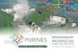 SPONSORSHIP PROSPECTUS - PURINES 2018purines2018.com/downloads/PURINAS_projeto.pdf · SPONSORSHIP PROSPECTUS "Purines 2018 - Internaonal Congress on Purinergic Signaling in Brazil: