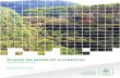 PLANO DE MANEJO FLORESTAL - cenibra.com.br · Colheita / Transporte PESQUISA FLORESTAL Melhoramento Genético Manejo e Controle de Pragas Florestais ... tações de eucalipto, 129.074,05