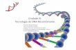 UnidadeIII: Tecnologiado DNA Recombinante · – Marcador de seleção (antibiótico) DNA/RNA para – Sítio único de clonagem ... – Extração de DNA; ... Conceitos Básicos