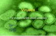 Viruses - Department of Molecular & Cell Biology · – Human immunodeficiency virus (HIV) – Influenza viruses – Rabies Virus Viruses with DNA – HPV – Herpes-type viruses