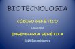 BIOTECNOLOGIA · CLONAGEM DE ORGANISMOS ... Obtenção de múltiplas cópias de DNA Seqüenciamento de DNA ... DNA fingerprinting Determinação de paternidade. Title: Slide 1 Author:
