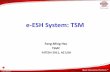 e-ESH System: TSM - seshaonline.orgseshaonline.org/viewfile.php3?filename=2011proceedings/12.pdf · TSMC Property © 2007 TSMC, Ltd 2 © 2009 TSMC, Ltd. Total ESH Management System