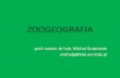 ZOOGEOGRAFIA - invertebrates.uni.lodz.plinvertebrates.uni.lodz.pl/wp-content/themes/kzbih/pdf/dlastudenta/... · Biogeografia ekologiczna = ekogeografia Wyjaśnianie aktualnego rozmieszczenia