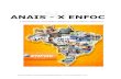 ANAIS - X ENFOC - uninter.com · A Biotecnologia a favor dos portadores de Ceratocone Progressivo ..... 65 Doenças Diarréicas ...