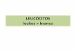 LEUCÓCITOS leukos = branco - Stoa Social · • Se houver leucocitose (contagem global de leucócitos > 10 . 103/uL) deve-se contar na contagem diferencial maior número de células