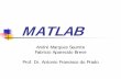 MATLAB - Fabricio Breve · MATLAB, incluindo janela de comandos, histórico, área de trabalho, arquivos, etc. ... animação e apresentação de gráficos. Inclui também funções