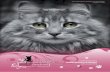 CHRONISCHE NIERENINSUFFIZIENZ BEI KATZEN · Chronische Niereninsuffizienz bei Katzen Hallo liebe Katzenfreunde! Die CNI (chronische Niereninsuffizienz) zählt mit zu den häufigsten