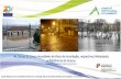 As Cartas de Zonas Inundáveis de Risco de Inundação ... · Sessão Pública, Zonas Inundáveis de Risco de Inundação, Planos de Gestão de Risco de Inundação, 5 de Fevereiro