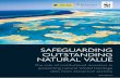 SAFEGUARDING OUTSTANDING NATURAL VALUE - WWFassets.wwf.org.uk/downloads/safeguardingoutstandinguniversalvalue.pdf · SAFEGUARDING OUTSTANDING NATURAL VALUE The role of institutional
