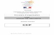 CAP AGENT DE SÉCURITÉ - eco-gestion-lp.ac-amiens.freco-gestion-lp.ac-amiens.fr/sites/eco-gestion-lp.ac-amiens.fr/IMG/... · 3 CAP AGENT DE SECURITE – CCF – SESSION 2014 B )