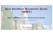 Bias Incident Response Team (BIRT) - Potsdam · The Bias Incident Response Team (BIRT) is a committee made up of faculty, staff, and student volunteers who are trained to serve as