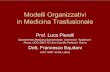 Modelli Organizzativi in Medicina Trasfusionale - emaferesi.it · Modelli Organizzativi in Medicina Trasfusionale Prof. Luca Pierelli Dipartimento Medicina Sperimentale, Universita’