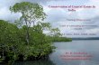 Conservation of Coastal Zones in Indiaiced.cag.gov.in/wp-content/uploads/C-22/Coastal zone management... · Porifera Cnidaria Ctenophora Platyhelminthes Nemerta Annelida Sipunculida