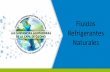 Fluidos Refrigerantes Naturales - Ministerio de Ambiente y ... · Refrigeración Doméstica • HC-600a y HFC-134a dividen el mercado (~50% - 50%). • Diversas empresas convirtiendo
