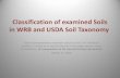 Classification of examined Soils in WRB and USDA Soil Taxonomy · Classification of examined Soils in WRB and USDA Soil Taxonomy Direct correspondence between classes is rare. For