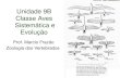Unidade 9B Classe Aves Sistemática e Evolução · Sistemática Subclasse Saurirae – Infraclasse Archaeornithes primeiras aves (Archaeopteryx e Confuciornis) 2 ordens extintas