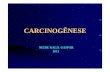 carcinogenese neide kallil - Biblioteca Virtual em Saúde MSbvsms.saude.gov.br/bvs/publicacoes/inca/carcinogenese_neide_kallil.pdf · MECANISMOS MOLECULARES DA CARCINOGÊNESE ...