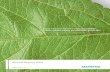 How can we ensure sustainability while generating ... · How can we ensure sustainability while generating profitable growth?  Order no. A19100-F-V79-X-7600 Annual Report 2009