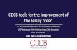 CDCB tools for the improvement of the Jersey breed · The Council on Dairy Cattle Breeding (CDCB) is an industry collaboration that benefits the dairy community by promoting dairy