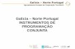 Galicia Norte Portugal INSTRUMENTOS DE PROGRAMAÇÃO … · Agrupamento Europeu de Cooperação Territorial PIC 2014-2020: ... produtivo e o reconhecimento mutuo de titulações e