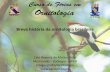 Breve história da ornitologia brasileira - caiobrito.com · - Viagem pelo Brasil nos anos de 1817-1820. - Primeiro a coletar Cyanopsitta spixii (Wagler 1831) em 1819. Século XIX