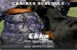 CANINEs Schedule - ekka.com.au · Mrs. Laura Schimke Obedience Utility Dog ... Basset Fauvre de Bretagne Bloodhound Luncheon Break ... Pyrenean Mountain Dog Cane Corso Estrela Mountain