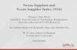 Nexus Suppliers and - W. P. Carey School of Business · Nexus Suppliers and Nexus Supplier Index (NSI) Thomas Choi, Ph.D. Harold E. Fearon Chair in Purchasing Management Executive