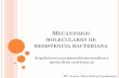 Mecanismos moleculares de resistencia bacteriana - SADEVE · BASES MOLECULARES DE MECANISMOS ANTIMICROBIANOS DE RESISTENCIA La resistencia bacteriana puede ser Intínseca: resistencia