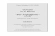 Sonata in A Minor Per Arpeggione - conquest.imslp.infoconquest.imslp.info/files/imglnks/usimg/a/a9/IMSLP116775-WIMA.02c8... · Sonata "Per Arpeggione" in A Minor Franz Schubert (1824)