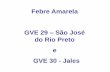 Febre Amarela GVE 29 São José do Rio Preto e GVE 30 - Jalesportal.saude.sp.gov.br/.../febre_amarela_em_sao_jose_do_rio_preto.pdf · rsi - 2005 • anexo 2 instrumento de decisÃo
