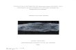 OSTEOLOGIA E SISTEMÁTICA DE Brannerion /atum …pantheon.ufrj.br/bitstream/11422/3043/1/618511.pdf · 2017-10-30 · DISSERTAÇÃO APRESENTADA AO PROGRAMA DE PÓS-GRADUAÇÃO EM