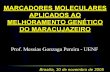 MARCADORES MOLECULARES APLICADOS AO …ivrtpm.cpac.embrapa.br/homepage/palestras/mr2messias.pdf · DO MARACUJAZEIRO Brasilia, 30 de novembro de 2005 Prof. Messias Gonzaga Pereira