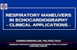 RESPIRATORY MANEUVERS IN ECHOCARDIOGRAPHY - …assets.escardio.org/Assets/Presentations/OTHER2010/EAE-clinical... · respiratory maneuvers in echocardiography - clinical applications
