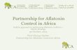 Partnership for Aflatoxin Control in Africa/media/Files/Projects/Aflatoxin microsite/African... · Partnership for Aflatoxin Control in Africa . Background Aflatoxin contamination