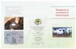 Management of roundworms in sheep and goats - .Management of roundworms in sheep and goats ... •