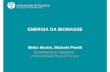 ENERGIA DA BIOMASSE - Il biogasilbiogas.it/biogas-ricerche-e-studi/energia-da-biomasse.pdf · ENERGIA DA BIOMASSE Mirko Morini, Michele Pinelli • La biomassa è una fonte rinnovabile