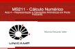 MS211 - Cálculo Numérico - Instituto de Matemática ...valle/Teaching/MS211/Aula04.pdf · Introdução Na aula anterior, apresentamos o método da eliminação de Gauss, equivalentemente