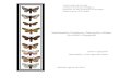 Megalopygidae (Lepidoptera, Zygaenoidea): biologia ...repositorio.unb.br/bitstream/10482/13104/5/2012... · diversidade e biogeografia ... Um breve histórico sobre filogenia e classificações