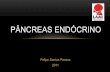 Pâncreas Endócrino - laac-anatomia.webnode.com.br · VACINA PARA CÂNCER DE PÂNCREAS (15/04/2011) • Vacina contém Telomerase, que são abundantes nas céls. cancerígenas •