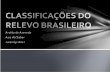 Classificação do relevo brasileiro - Colégio Delos | Preparando …colegiodelos.com/arq/blg/blg187_2.pptx · PPT file · Web view2016-07-11 · Planalto . De modo Geral, porem