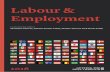 Labour & Employment · Machado Associados Advogados e Consultores BRAIL  35 the employees. Regarding the unions in Brazil, in each territorial base,