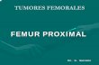 FEMUR PROXIMAL - GAITANO FEMUR PROXIMAL.pdf · osteotomia trocanterica rectus femoris vasto lateral desinsertado ciatico del femur arteria pectineo vena y nervio femoral dr. g. gaitano