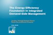 The Energy Efficiency Foundation in Integrated Demand-Side ... · The Energy Efficiency Foundation in Integrated Demand-Side Management • Joe Herr, Principal Strategic Planner •