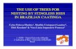 THE USE OF TREES FOR NESTING BY STINGLESS BEES IN ...webbee.org.br/meliponicultura/use_of_trees.pdf · THE USE OF TREES FOR NESTING BY STINGLESS BEES IN BRAZILIAN CAATINGA Celso Feitosa