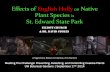 Effects of English Holly on Native Plant Species in St ... · Effects of English Holly on Native Plant Species in ... Effects of English Holly on Native Plant Species in St ... slideshow