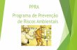 PPRA Programa de Prevenção de Riscos Ambientais · Da estrutura do PPRA. d) periodicidade e forma de avaliação do desenvolvimento do PPRA. 9.2.1.1. Deverá ser efetuada, sempre