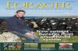 Forage r · Forage of concentrate quality Forage minerals Role of grass in flood mitigation Chewing the Cud The challenging market environment means 2015 is a year most livestock
