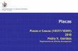 Considerações acerca da configuração - webx.ubi.ptwebx.ubi.pt/~pgamboa/pessoal/10377/apontamentos/02_placas.pdf · Departamento de Ciências Aeroespaciais 10 Pedro V. Gamboa 1.